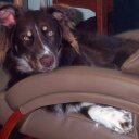 Frank Dulin - @fdul - Twitter