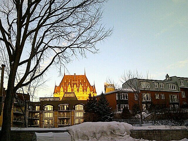 corinacori's profile picture. 