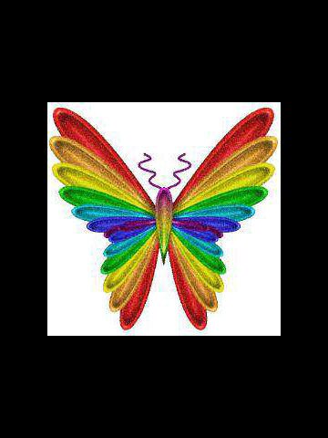 Komunitas Gay LOKAL