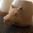 Ungapatch's profile image
