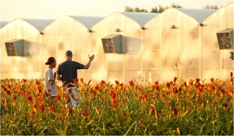 SawyerNursery's profile picture. Sawyer Nursery, Inc. of Hudsonville, MI has been in the perennial business for 58 years. We are now an industry-leading producer of a wide variety of perennials