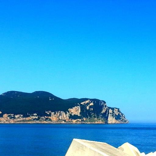 deliaanjana's profile picture. 