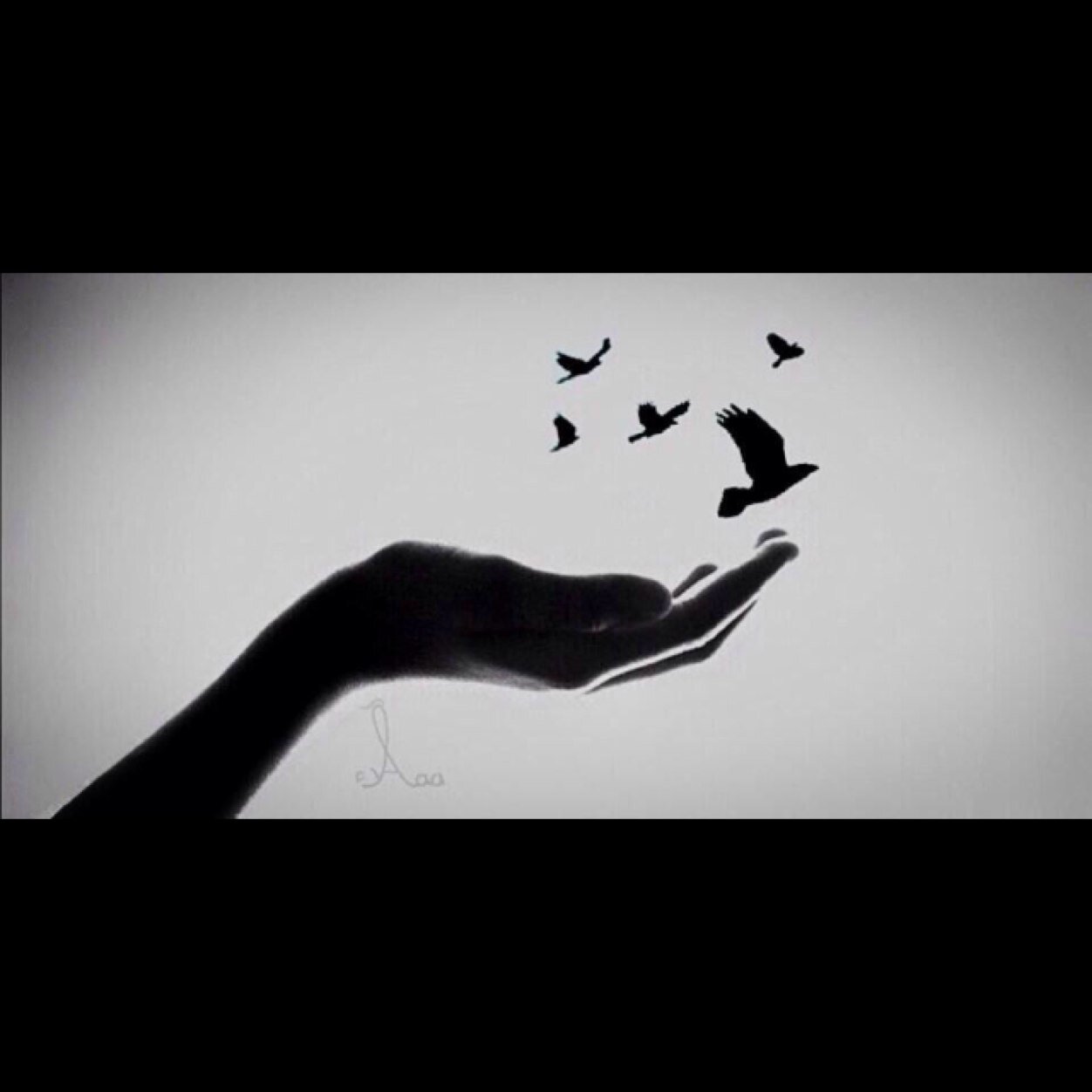 توكلت على الله