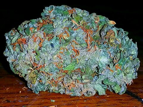 The world should take a chill pill for a sec and medicate