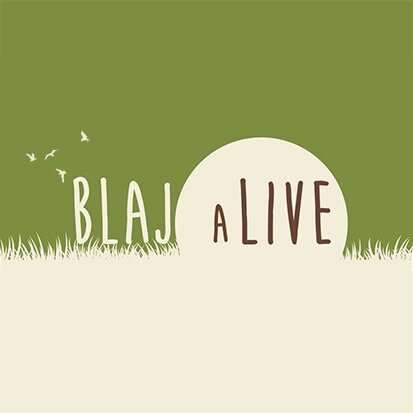 Primul festival al verii: Blaj aLive! În iunie, în fiecare an, pe Câmpia Libertății, Blaj!