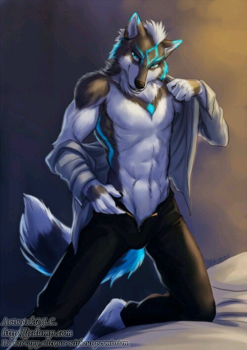 Sassy:#taken /Angel:#single/Ty:#furry#engaged to @furrykaylee