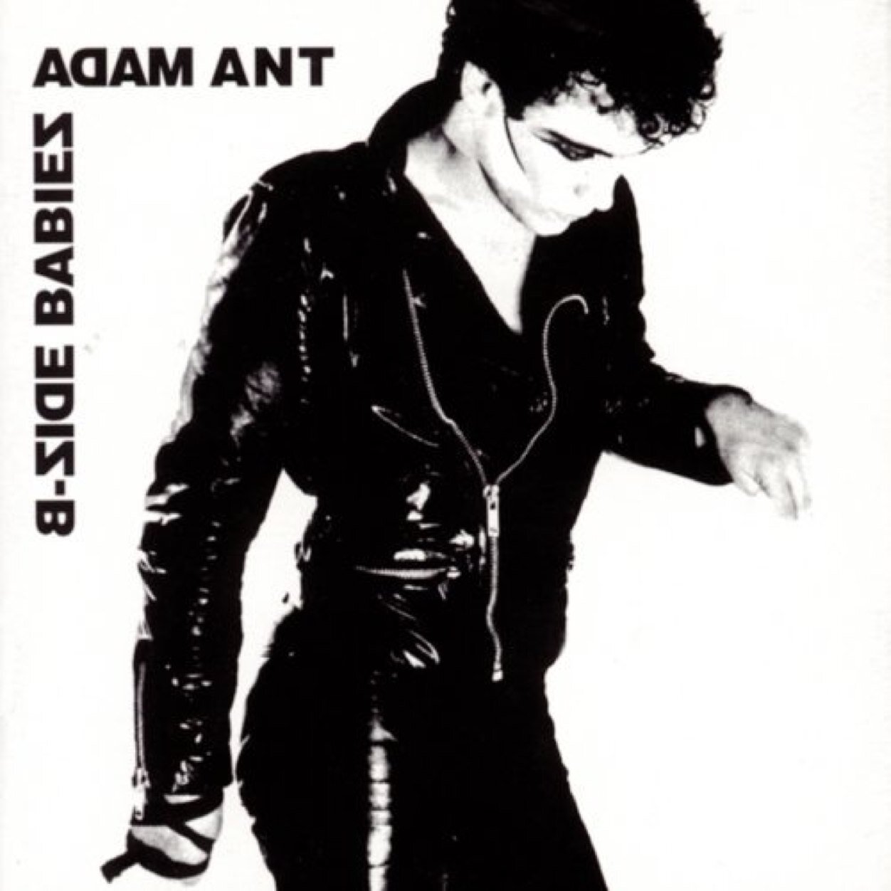 Massive ant fan from way back ! Ant music for sexpeople !