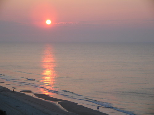 malawless09's profile picture. 