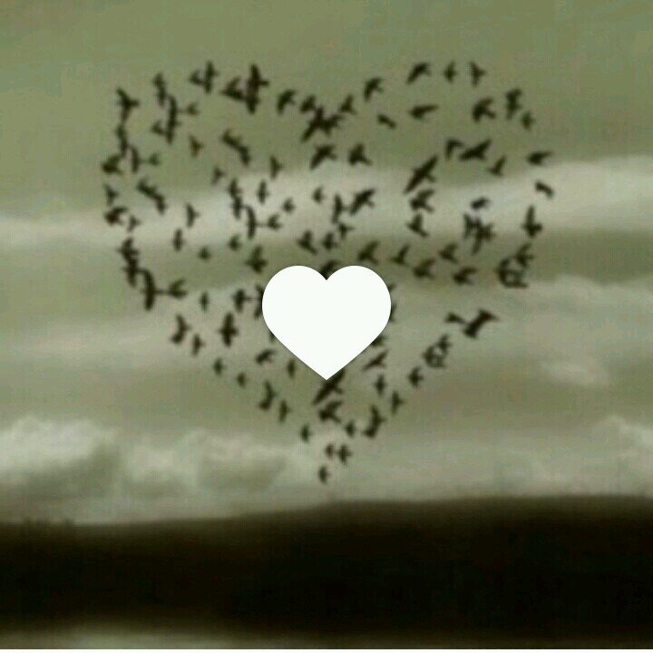 maryoom531's profile picture. حيث النقاء *