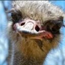 Jack_Epperson - @jack_epperson - Twitter