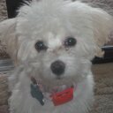 Loretta Lance - @rettann1 - Twitter