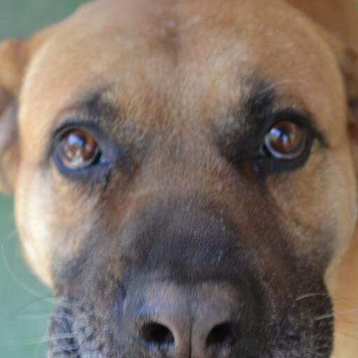 xvikiko's profile picture. Valar morgulis