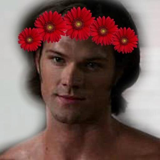 My big brother is Dean and I have done some pretty bad things in my past. I may or may not have started the Apocalypse. [SPN|Any ship|#OpenRP]