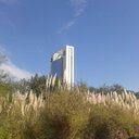 Martin Jiang - @Martin_jiang_fj - Twitter