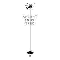 Ancient Olive Trees(@AOTOliveOil) 's Twitter Profile Photo