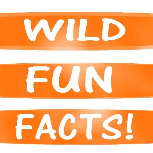 Filling your day with cold hard facts! Go get some learn today!