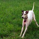 Bryan Jackson - @JacksonMix96 - Twitter