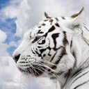 richard geronimo - @zesus12 - Twitter