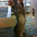 Anthony Rabon - @ajrabon03 - Twitter