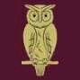 OwlsLHC has 3 senior teams and a thriving junior section. Training is Monday and Wednesday nights. Membership is open to everyone. #uptheowls