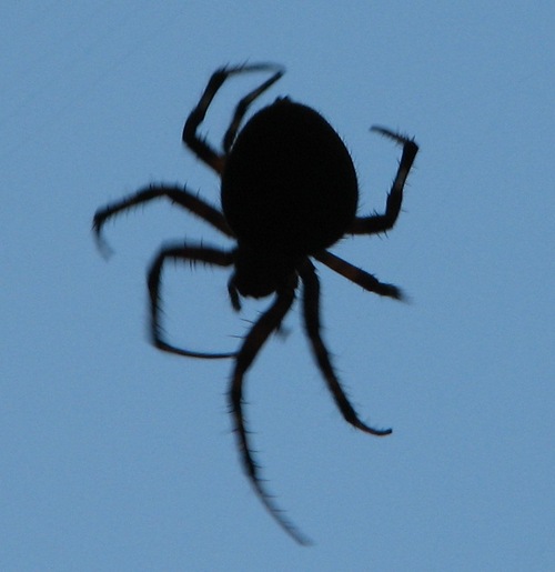 JennaMonstrrr's profile picture. 