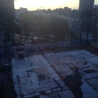 lula (@dalila80805389) 's Twitter Profile