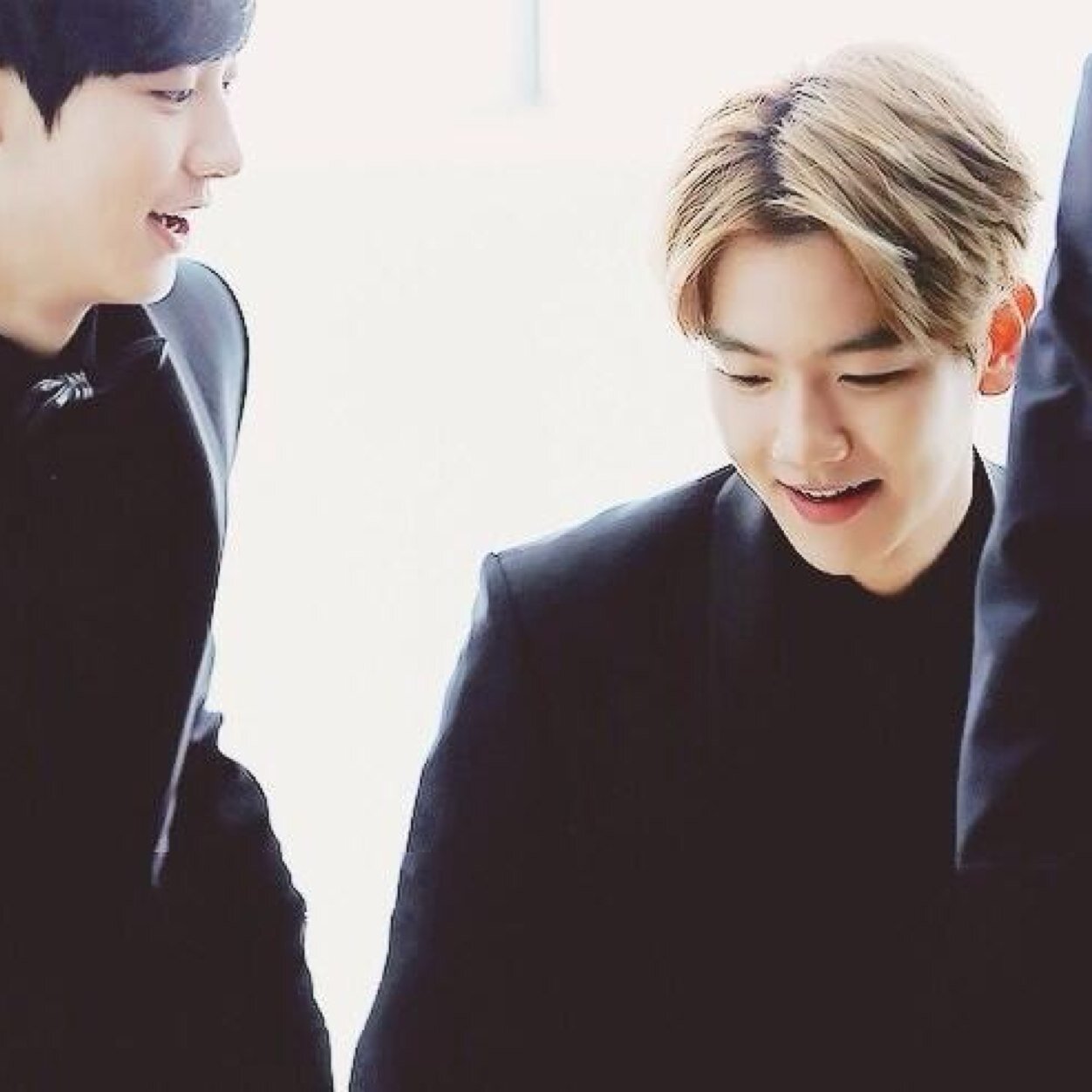 บอทแบคฮยอน เค้? #QUARRYFAM