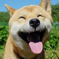 会員番号4153番　頑張れ福島・日本！ (@41532) 's Twitter Profile