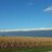 storiedstore's profile image