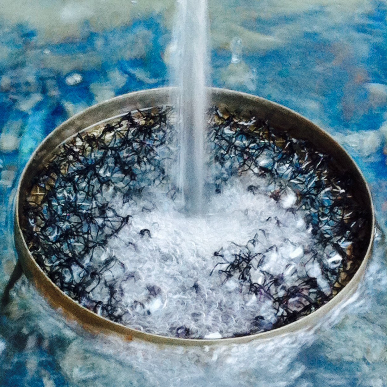 allyson4ever's profile picture. 