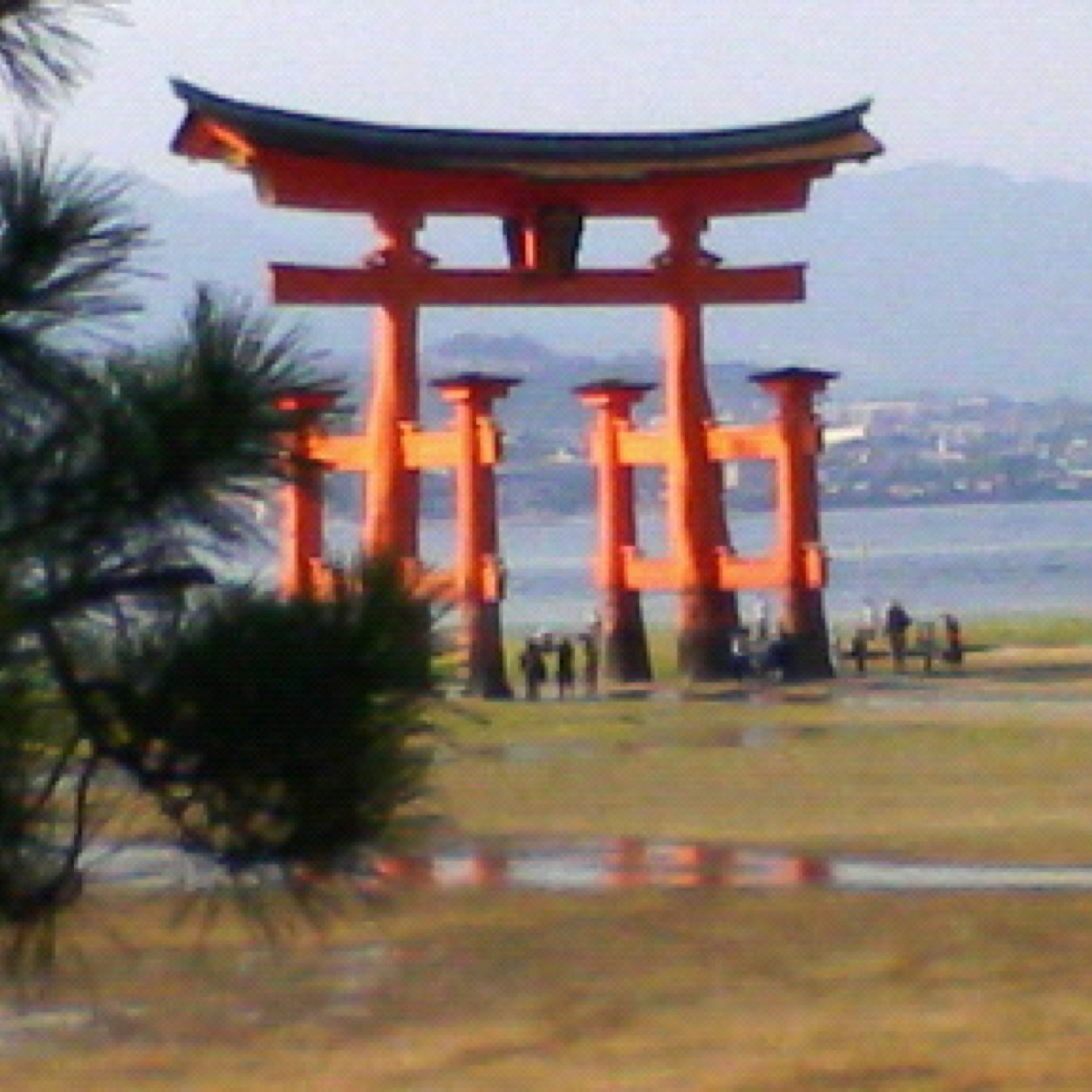 tasadon's profile picture. 