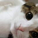 優 (@0670_yu) Twitter