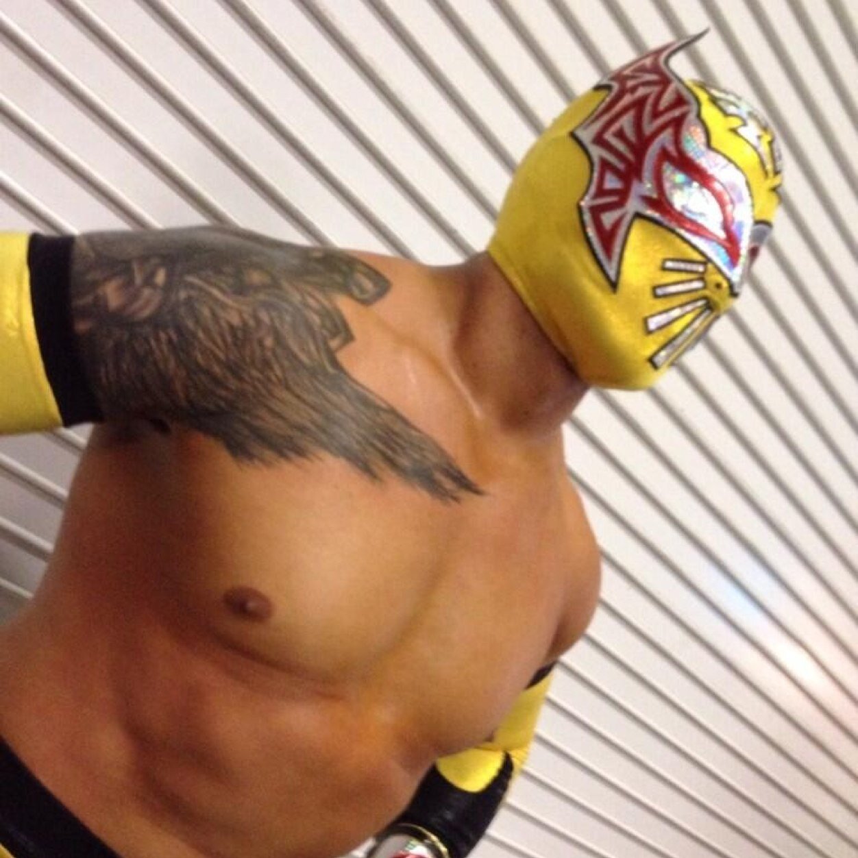 MaskedCara's profile picture. The Mexican Masked High flyer. (RP)