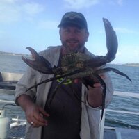 Peter Delaforce (@delaforce_peter) 's Twitter Profile