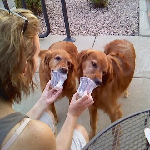 DodgerNala's profile picture. 