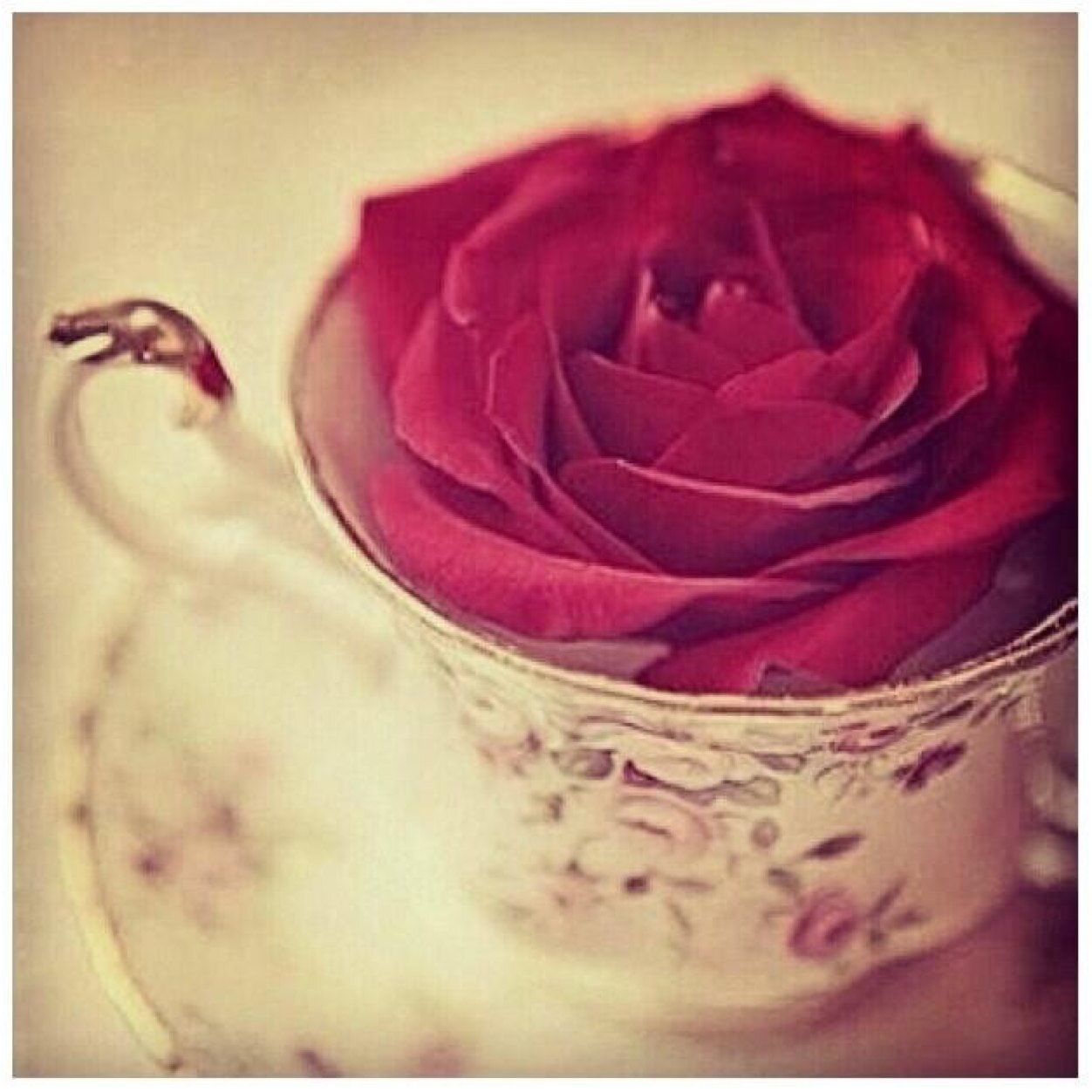 N1591A's profile picture. طالبة ثاني ثانوي اللهم اجعل الجنة مكان امي.