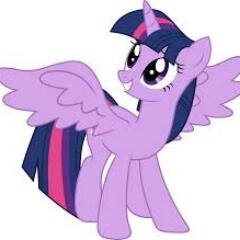 Hello my name is twilight sparkle. love friendship