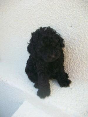 loquillorios's profile picture. 