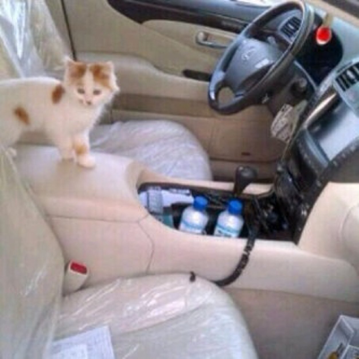 5711FBDE BBM