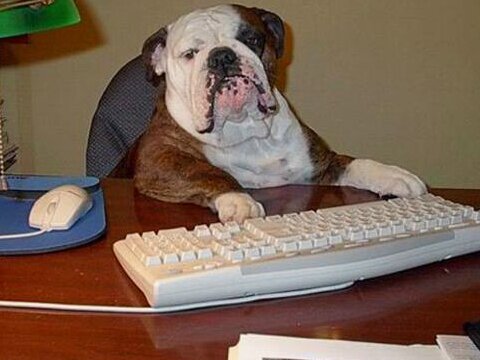 denise_addy's profile picture. Craft and glitter