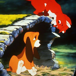 CereinContest's profile picture. Do people still use this thing