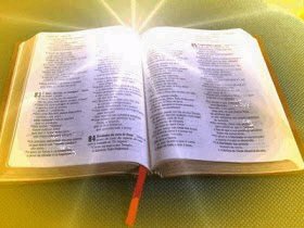 Digo ao SENHOR: Tu és o meu Senhor; outro bem não possuo, senão a ti somente. Salmos 16:2