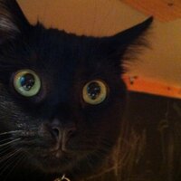 Sarah Crawford (@sarahcarlyn) 's Twitter Profile