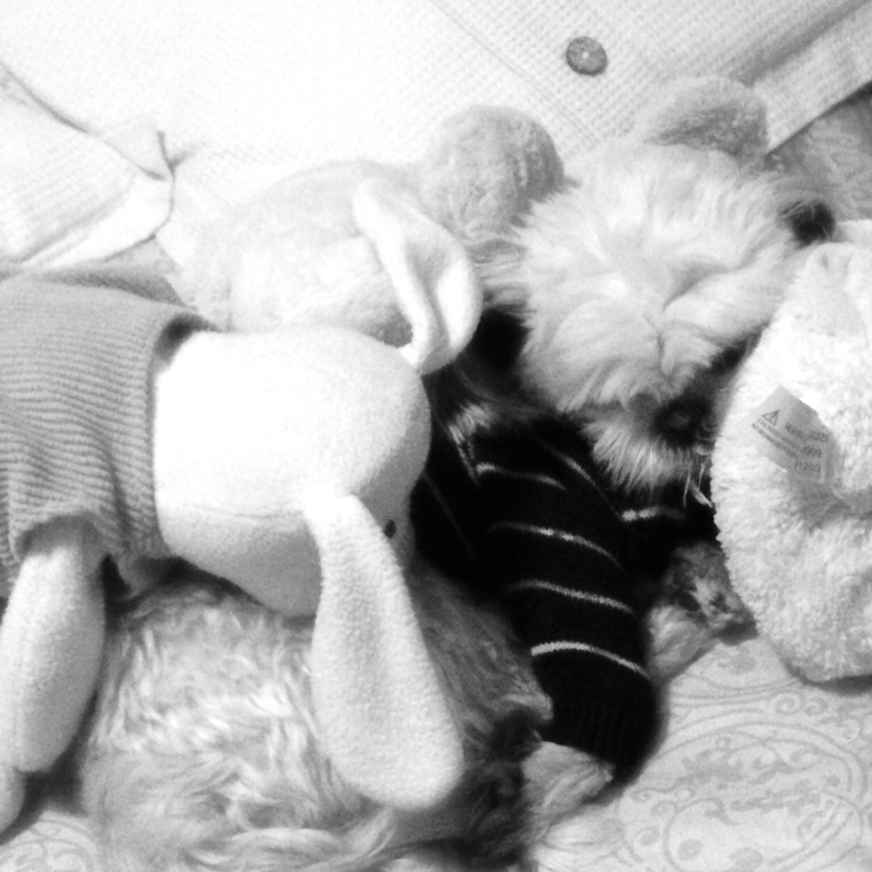 sbassante5's profile picture. 