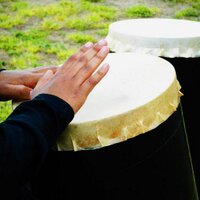 Lowcountry Rhythms (@lowscrhythms) 's Twitter Profile Photo Lowcountry Rhythms (@lowscrhythms) 's Twitter Profile Photo