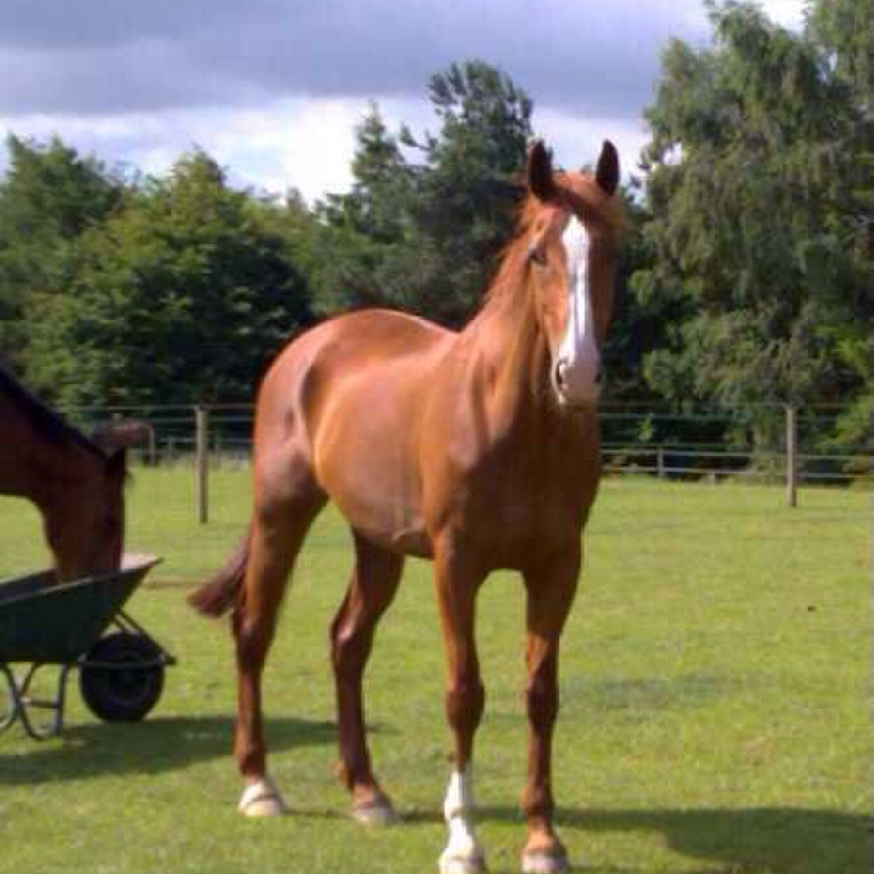 OOH senior manager @tesco.  If i am not there i'll be mucking out at the stables and drinking coffee.....