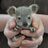 YourBabyAnimals's profile image