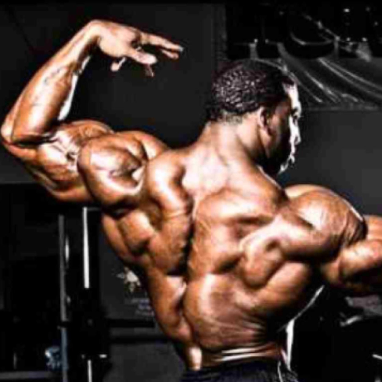 Snapping necks cashing checks, bodybuilding/ fitness parody account