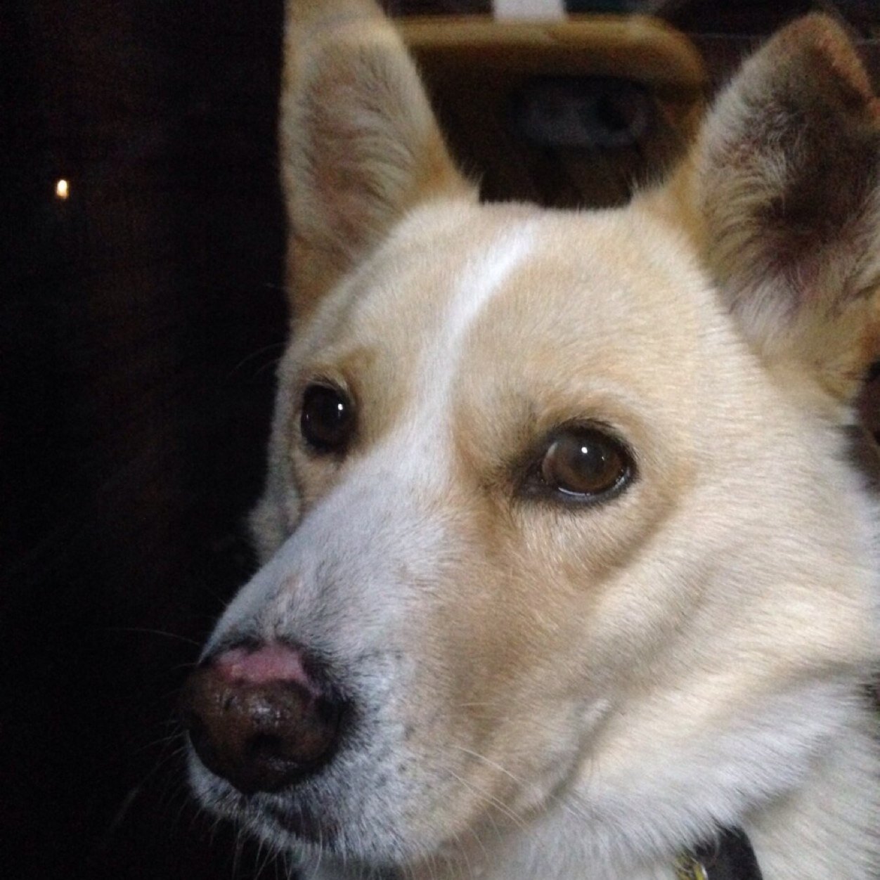 Ymn210's profile picture. 50歳のおっさんです。スポーツカーとラーメンとお酒が大好きです。モータースポーツ、競輪も好きです。