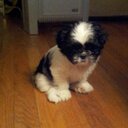 ellen long - @octobernurse - Twitter